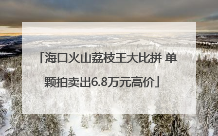 海口火山荔枝王大比拼 单颗拍卖出6.8万元高价