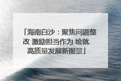海南白沙：聚焦问题整改 激励担当作为 绘就高质量发展新图景