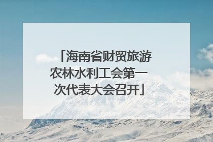 海南省财贸旅游农林水利工会第一次代表大会召开