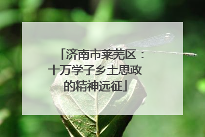 济南市莱芜区：十万学子乡土思政的精神远征