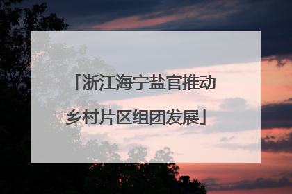 浙江海宁盐官推动乡村片区组团发展