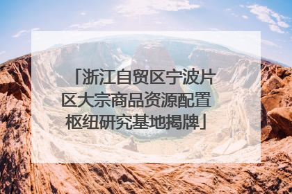 浙江自贸区宁波片区大宗商品资源配置枢纽研究基地揭牌