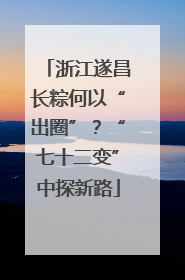 浙江遂昌长粽何以“出圈”？“七十二变”中探新路
