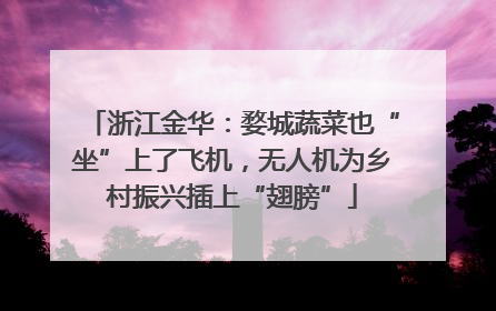 浙江金华：婺城蔬菜也“坐”上了飞机，无人机为乡村振兴插上“翅膀”