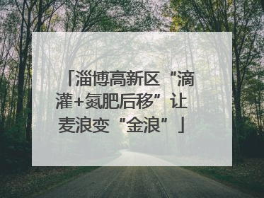 淄博高新区“滴灌+氮肥后移”让麦浪变“金浪”