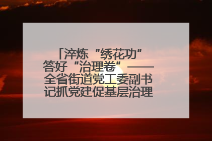 淬炼“绣花功” 答好“治理卷”——全省街道党工委副书记抓党建促基层治理培训示范班侧记