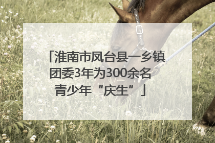 淮南市凤台县一乡镇团委3年为300余名青少年“庆生”