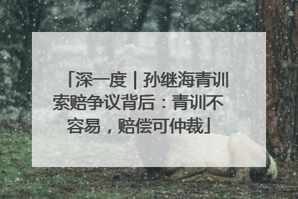 深一度｜孙继海青训索赔争议背后：青训不容易，赔偿可仲裁