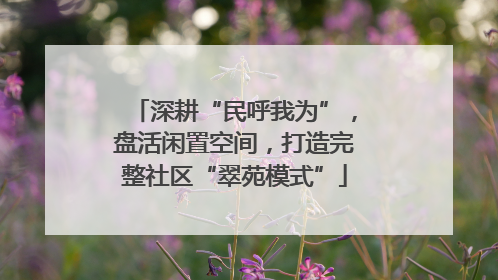 深耕“民呼我为”，盘活闲置空间，打造完整社区“翠苑模式”