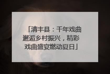 清丰县：千年戏曲邂逅乡村振兴，精彩戏曲盛宴燃动夏日