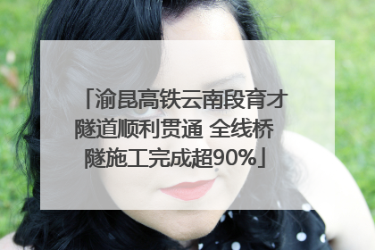 渝昆高铁云南段育才隧道顺利贯通 全线桥隧施工完成超90%