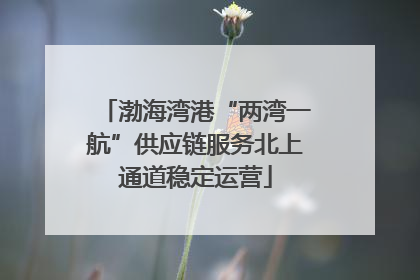 渤海湾港“两湾一航”供应链服务北上通道稳定运营