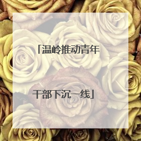 温岭推动青年干部下沉一线