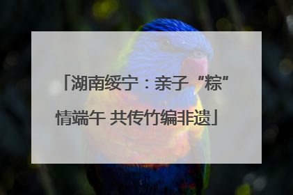 湖南绥宁：亲子“粽”情端午 共传竹编非遗