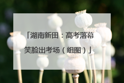 湖南新田：高考落幕 笑脸出考场（组图）