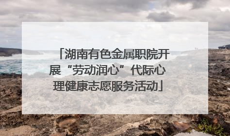 湖南有色金属职院开展“劳动润心”代际心理健康志愿服务活动