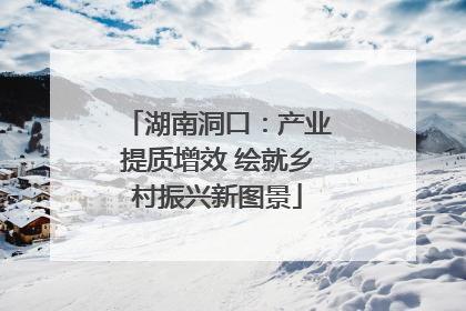 湖南洞口：产业提质增效 绘就乡村振兴新图景