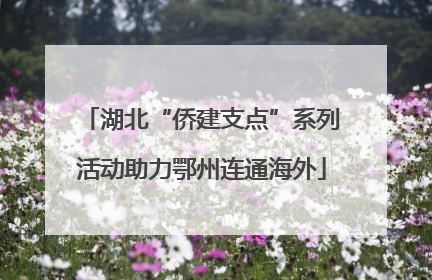 湖北“侨建支点”系列活动助力鄂州连通海外