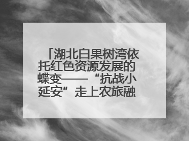 湖北白果树湾依托红色资源发展的蝶变——“抗战小延安”走上农旅融合振兴路