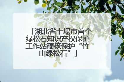 湖北省十堰市首个绿松石知识产权保护工作站硬核保护“竹山绿松石”