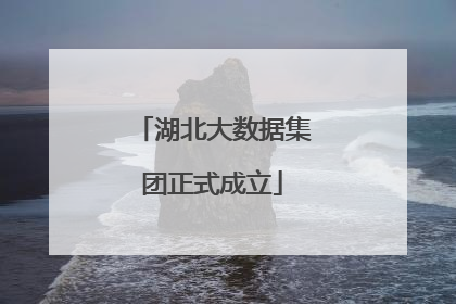 湖北大数据集团正式成立