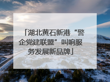 湖北黄石新港“警企党建联盟”叫响服务发展新品牌
