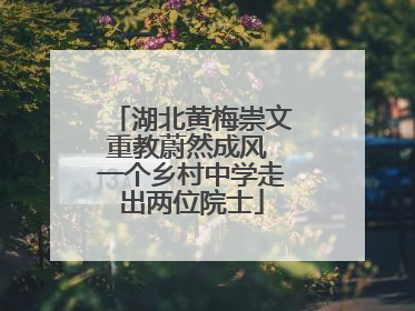 湖北黄梅崇文重教蔚然成风 一个乡村中学走出两位院士