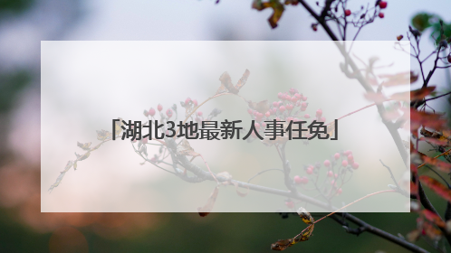 湖北3地最新人事任免