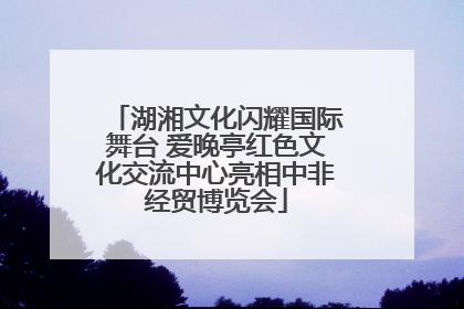 湖湘文化闪耀国际舞台 爱晚亭红色文化交流中心亮相中非经贸博览会