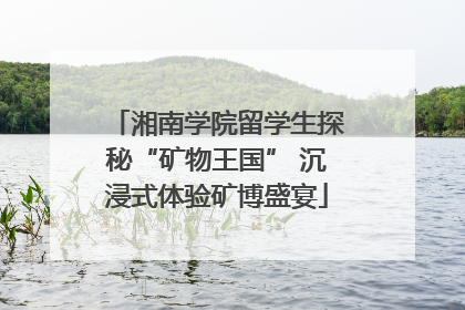 湘南学院留学生探秘“矿物王国” 沉浸式体验矿博盛宴