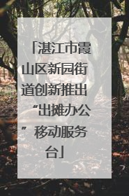 湛江市霞山区新园街道创新推出“出摊办公”移动服务台