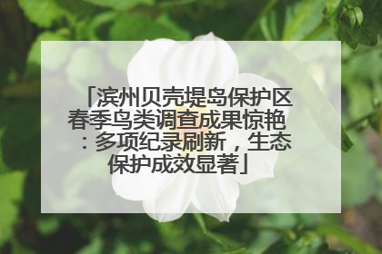 滨州贝壳堤岛保护区春季鸟类调查成果惊艳：多项纪录刷新，生态保护成效显著