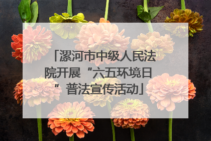 漯河市中级人民法院开展“六五环境日”普法宣传活动
