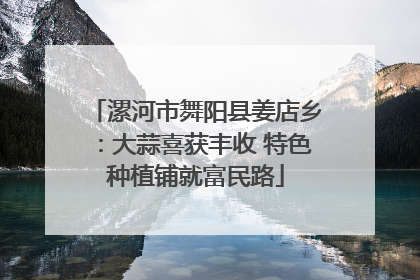 漯河市舞阳县姜店乡：大蒜喜获丰收 特色种植铺就富民路