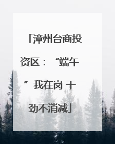 漳州台商投资区：“端午”我在岗 干劲不消减