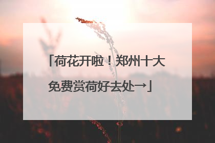 荷花开啦！郑州十大免费赏荷好去处→