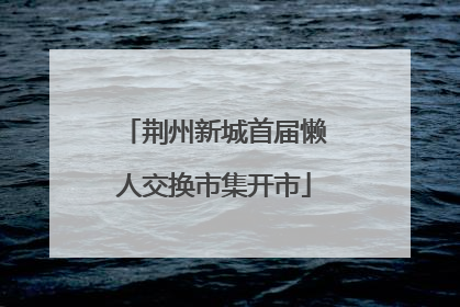 荆州新城首届懒人交换市集开市
