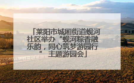 莱阳市城厢街道蚬河社区举办“蚬河粽香融乐韵，同心筑梦游园行” 主题游园会