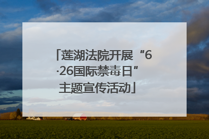 莲湖法院开展“6·26国际禁毒日”主题宣传活动