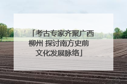 考古专家齐聚广西柳州 探讨南方史前文化发展脉络