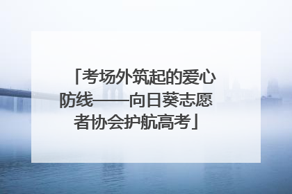 考场外筑起的爱心防线——向日葵志愿者协会护航高考