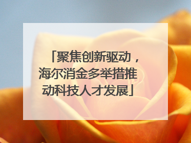 聚焦创新驱动，海尔消金多举措推动科技人才发展