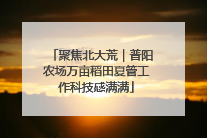 聚焦北大荒｜普阳农场万亩稻田夏管工作科技感满满