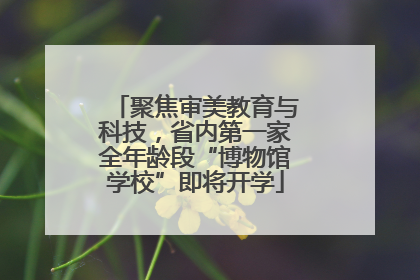 聚焦审美教育与科技，省内第一家全年龄段“博物馆学校”即将开学