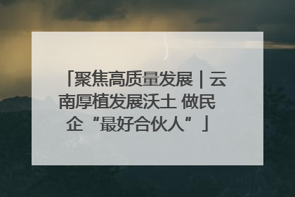 聚焦高质量发展｜云南厚植发展沃土 做民企“最好合伙人”