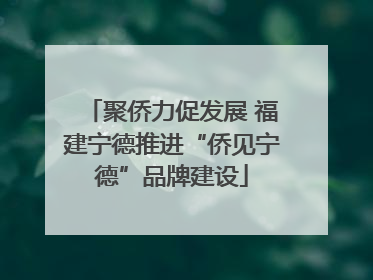 聚侨力促发展 福建宁德推进“侨见宁德”品牌建设