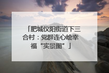 肥城仪阳街道下三合村：党群连心绘幸福“实景图”