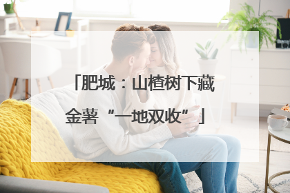肥城：山楂树下藏金薯“一地双收”