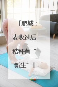 肥城：麦收过后秸秆有“新生”