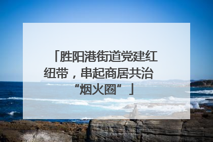 胜阳港街道党建红纽带，串起商居共治 “烟火圈”
